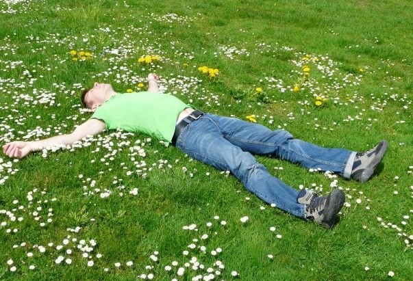 Make the Most of the Bank Holiday: Move or Declutter with Greens Removals Storage Ltd